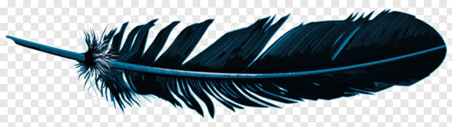 feather-silhouette # 842440