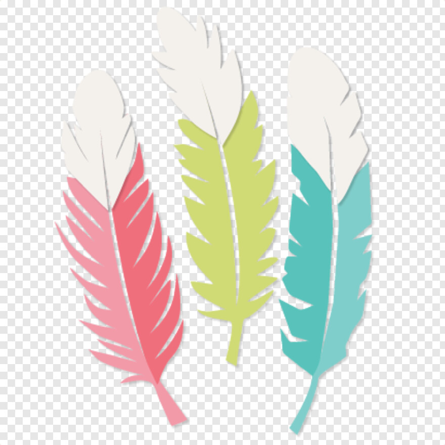 feather # 932153