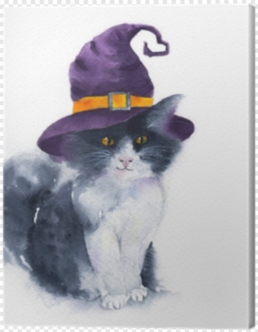 witch-hat # 1071801