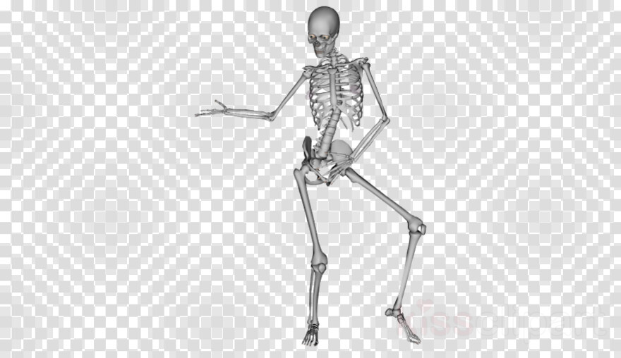 skeleton # 928916