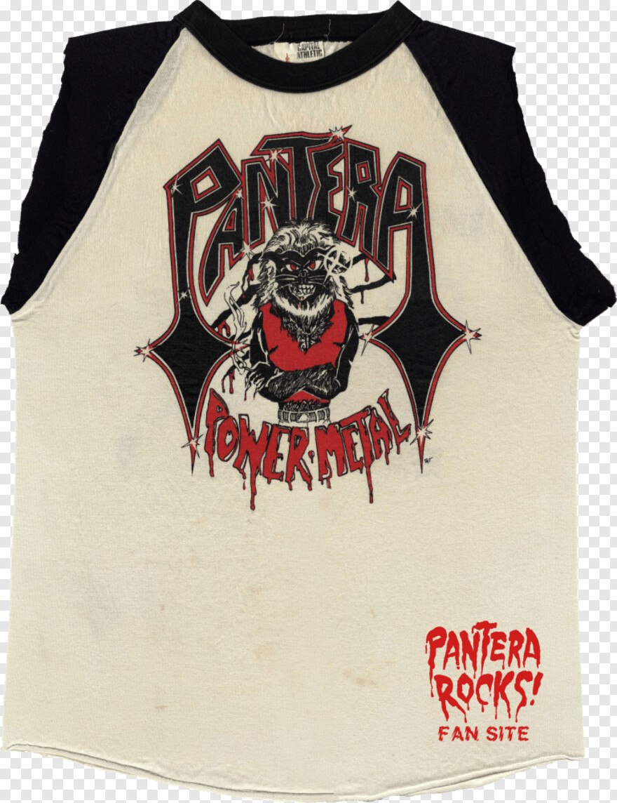 pantera-logo # 693574