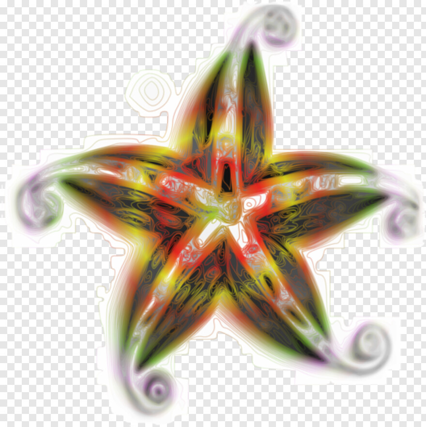 starfish # 919527