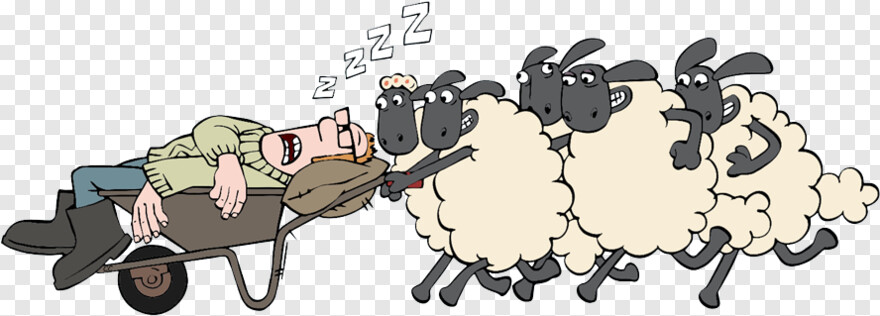 sheep # 844402