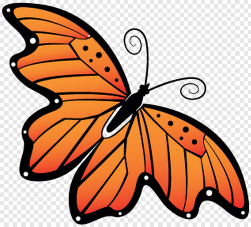 monarch-butterfly # 1108405