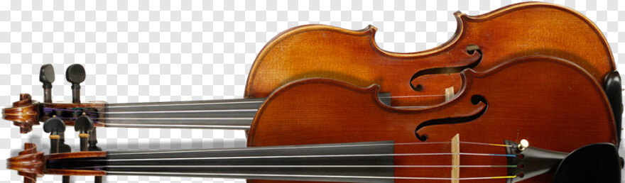 violin # 483830