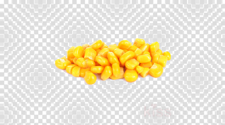sweet-corn # 991295
