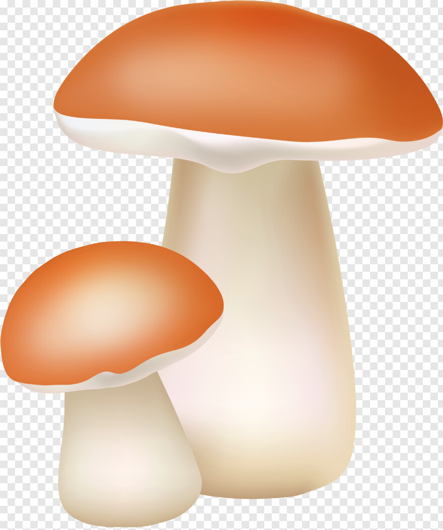 mushroom # 683481