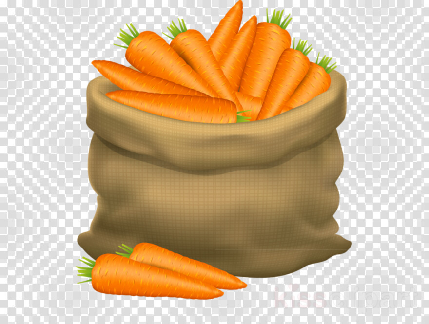 carrot # 398451
