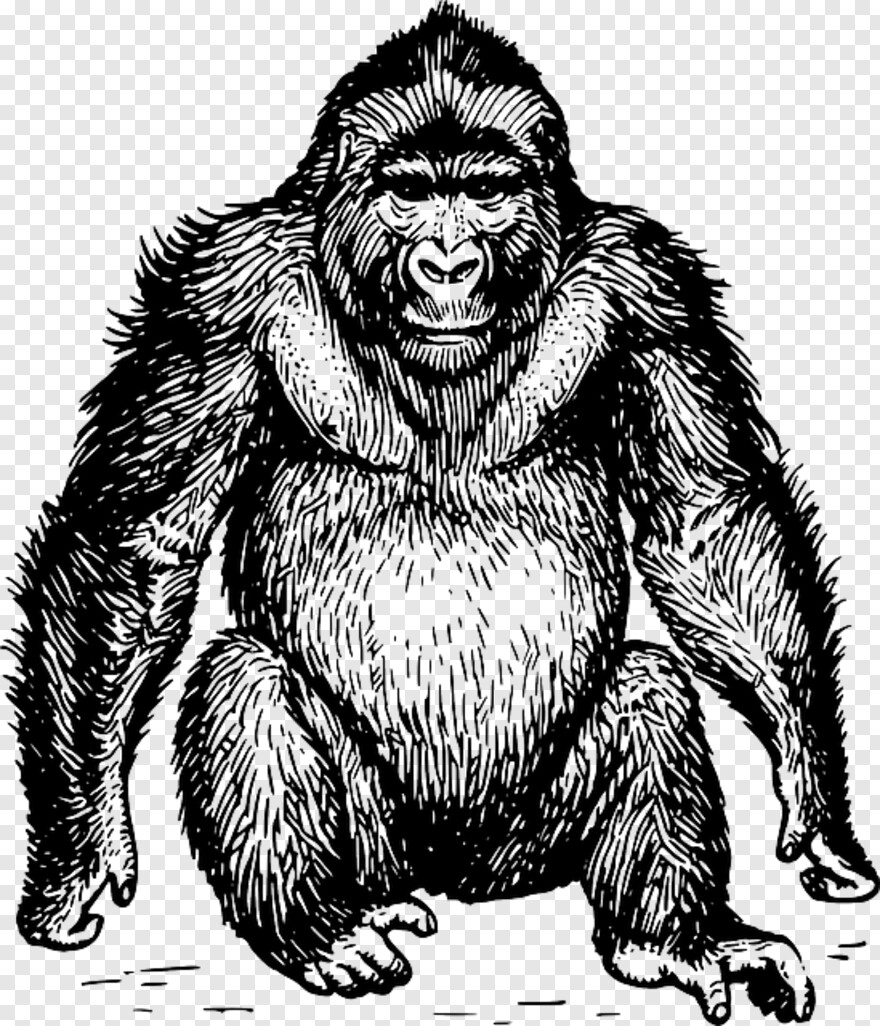 gorilla-face # 512759