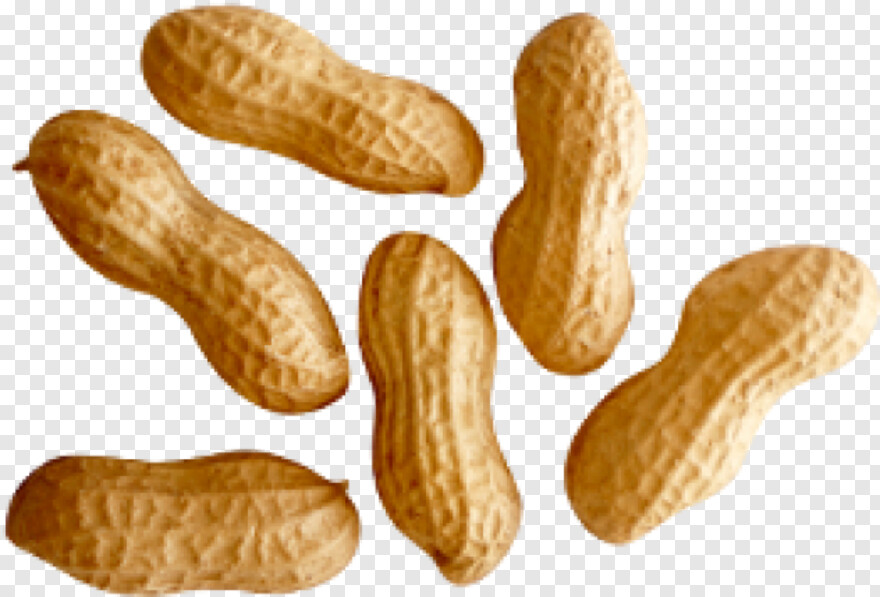 peanut # 659640