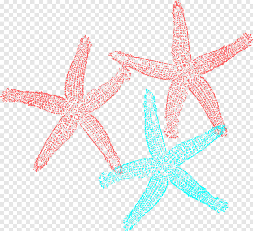 starfish # 495745
