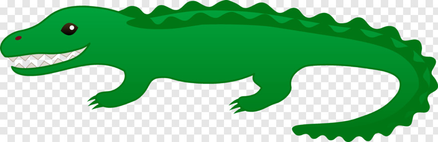 alligator # 538132