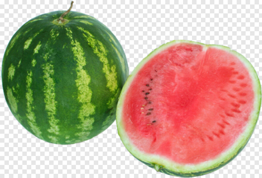 watermelon # 861181