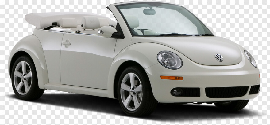 beetle # 447171