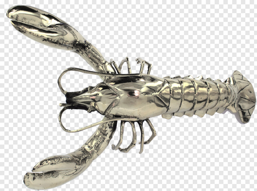 lobster # 711823