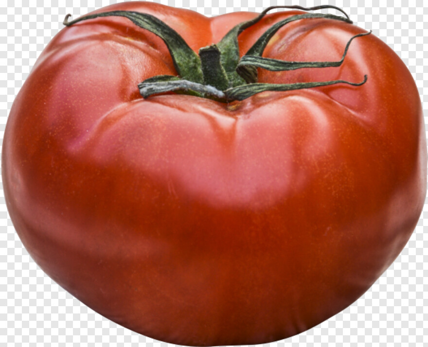 tomato # 601338