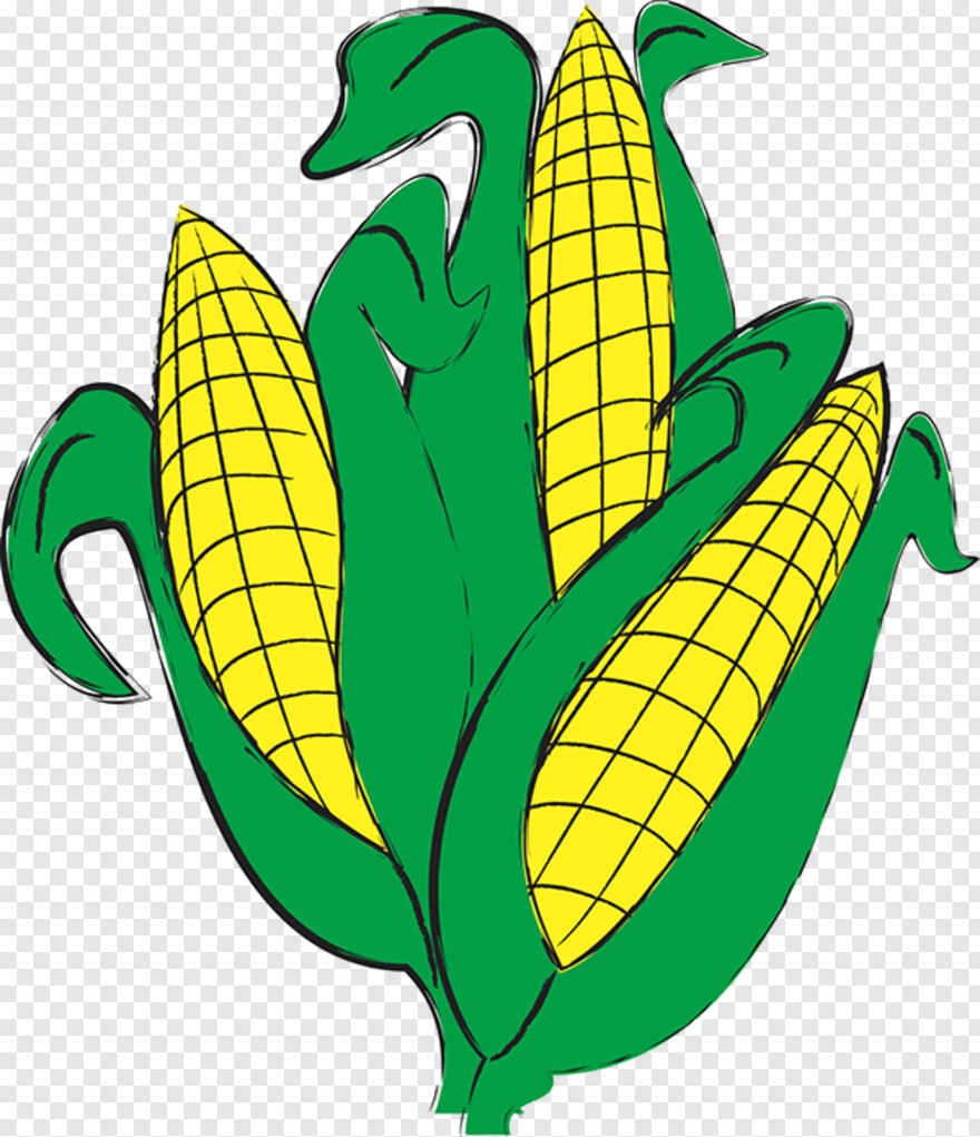 sweet-corn # 572086