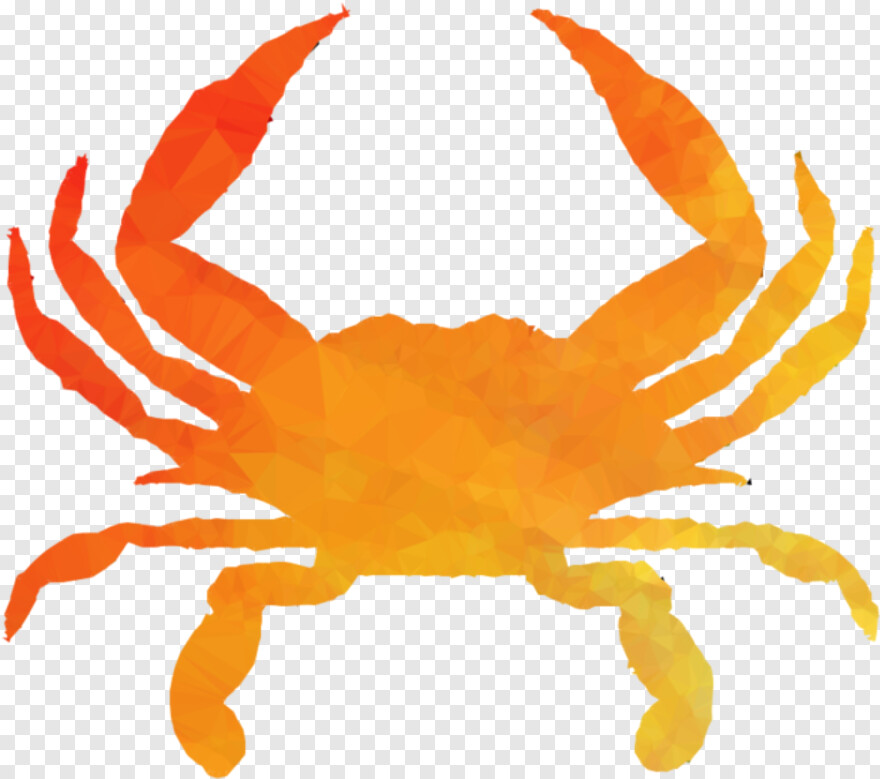 crab # 414337
