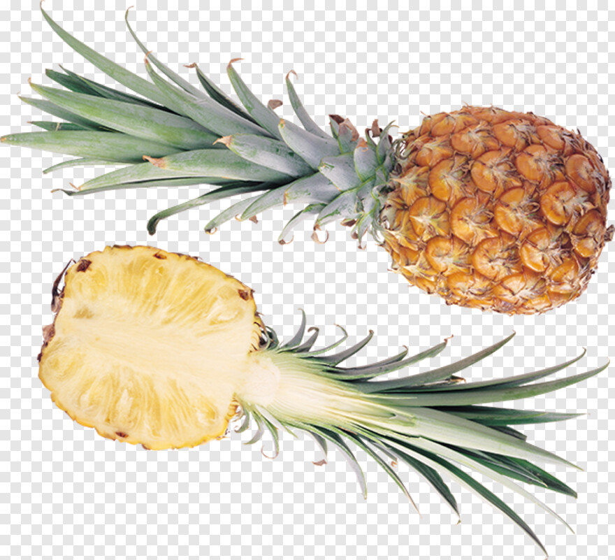 pineapple # 520043