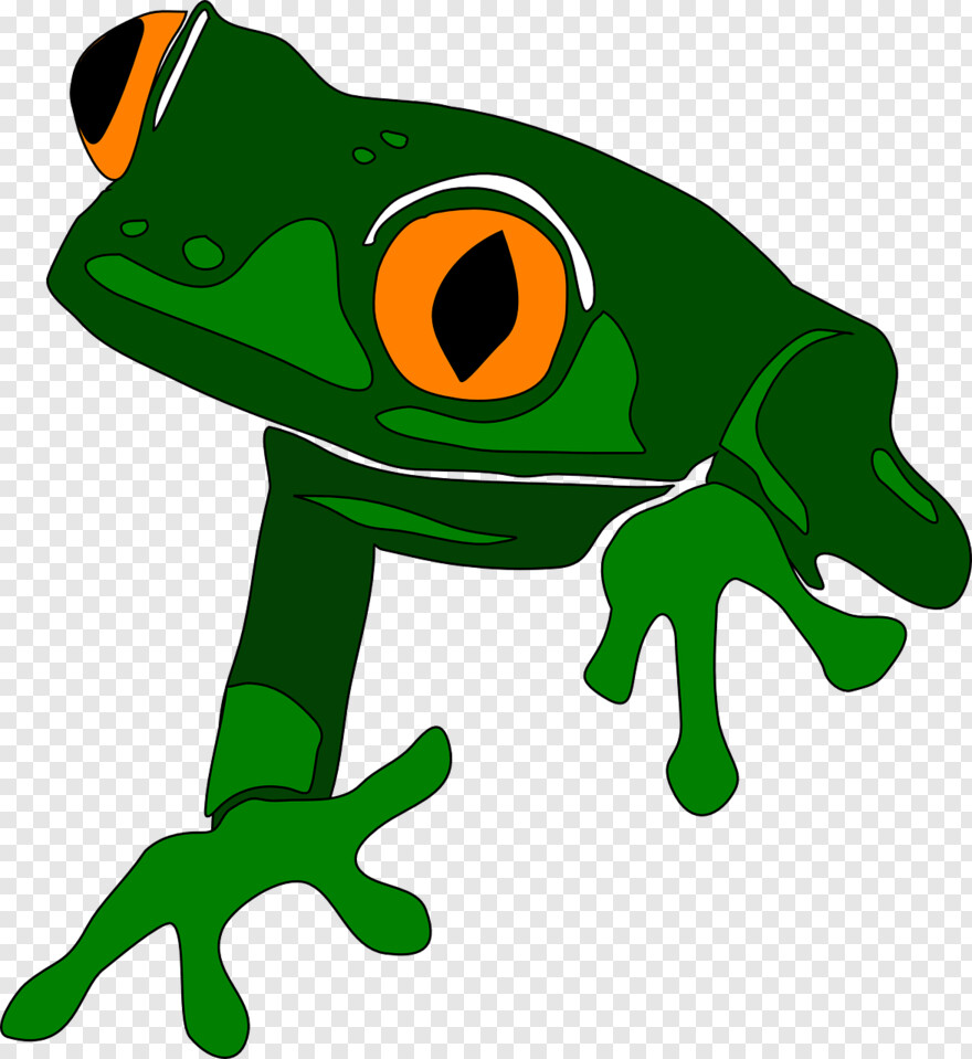 frog # 810986