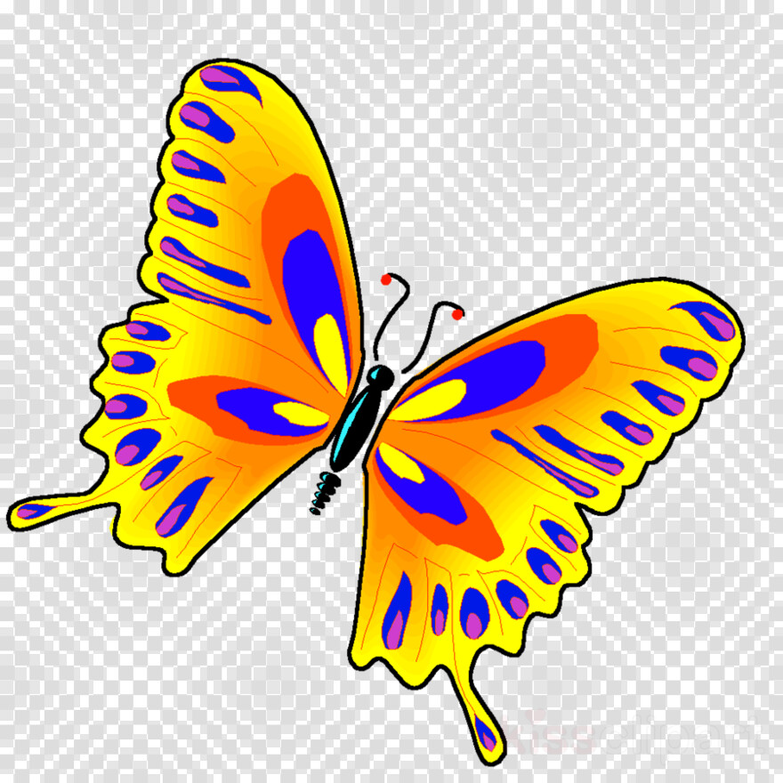 butterfly # 1094741