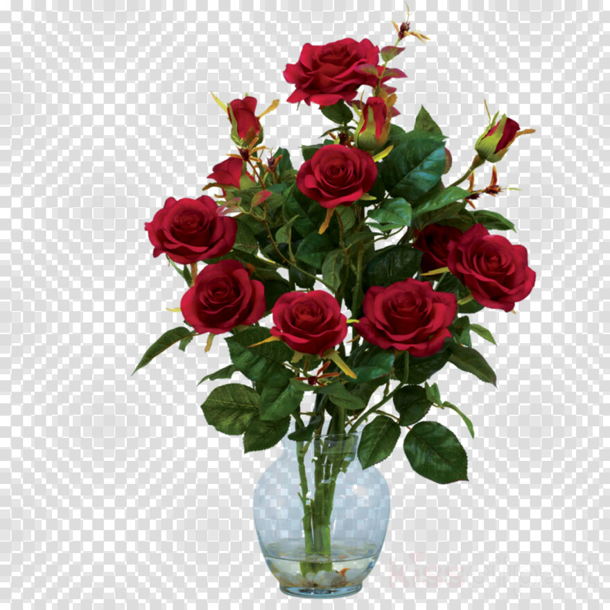 rose-plant # 483634