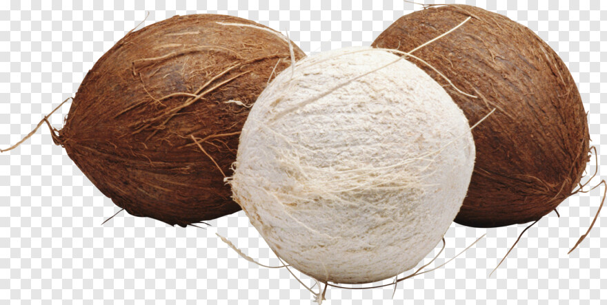 coconut # 990229