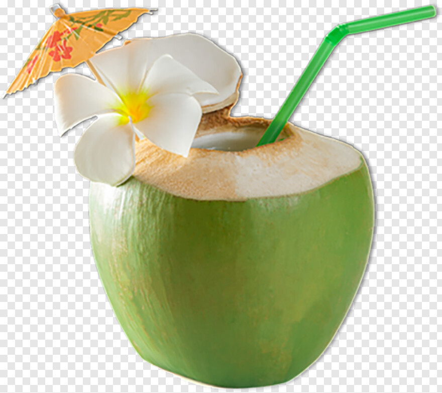 coconut # 990225