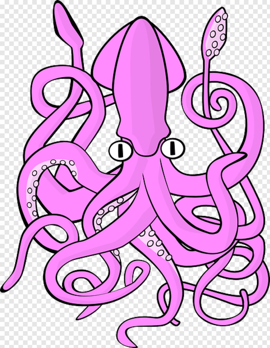 squid # 798665
