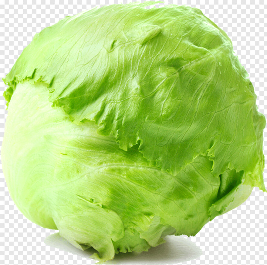 lettuce # 752842