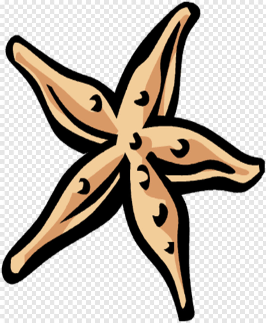 starfish # 751500
