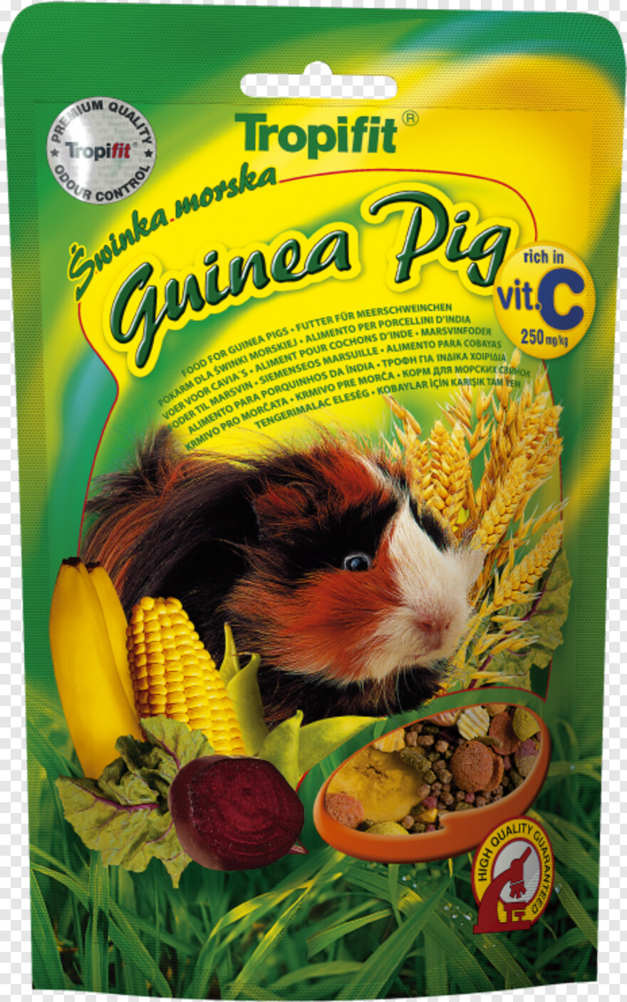 guinea-pig # 1091603