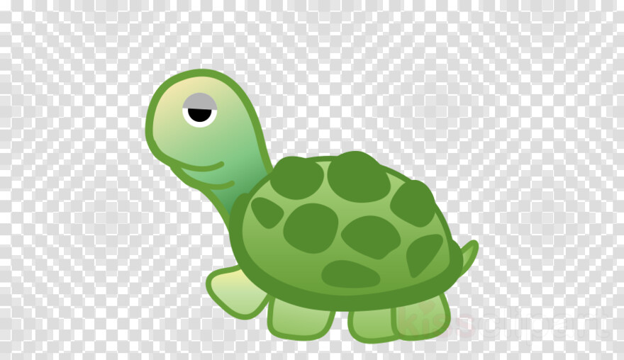 turtle # 517771