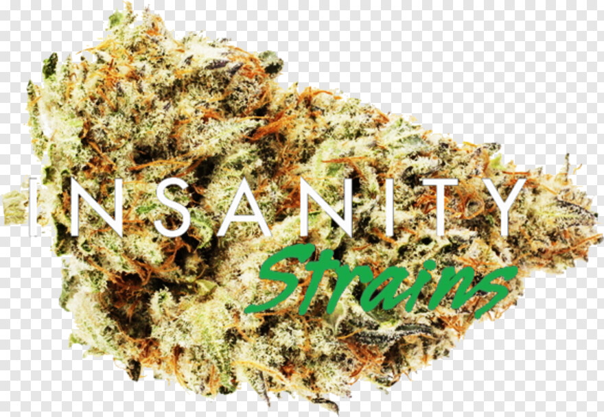 cannabis # 489026