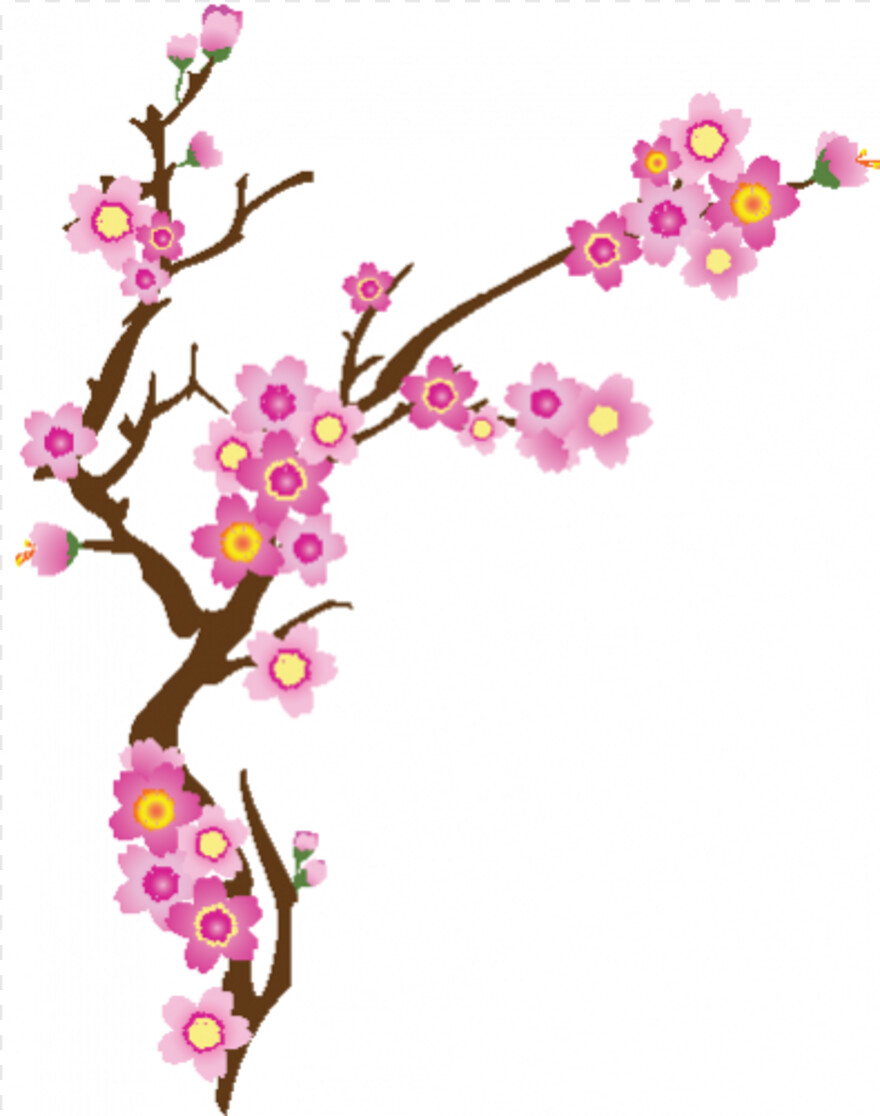cherry-blossom # 344441