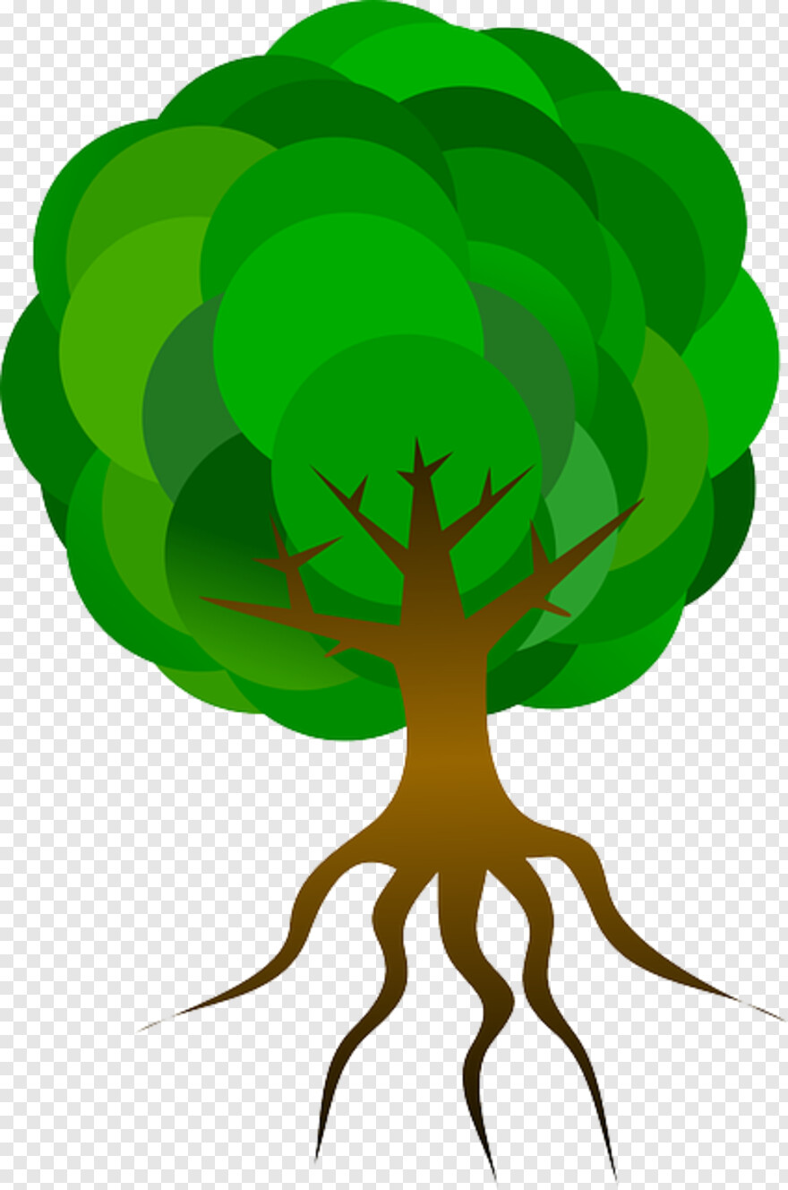 tree-roots # 460213