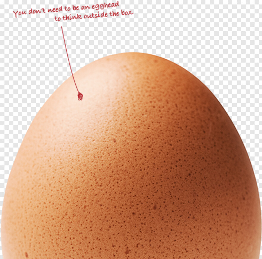 egg # 871661