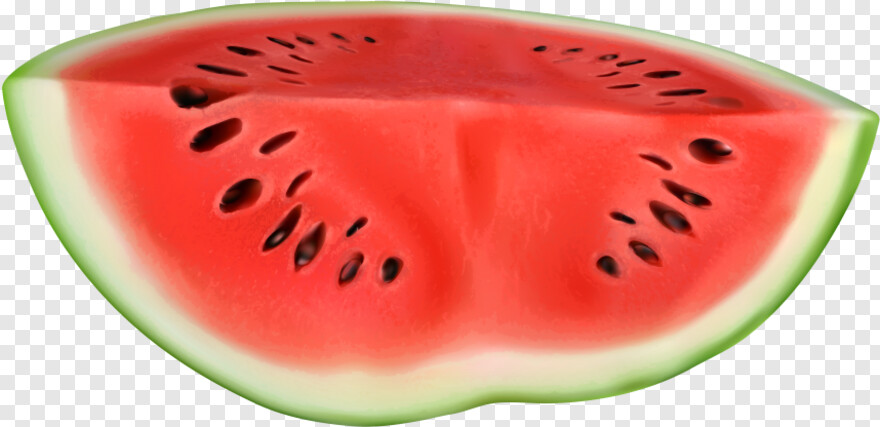 watermelon # 591852