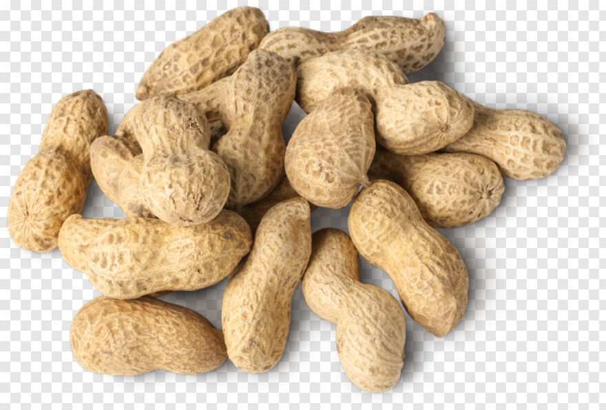 peanut # 659642