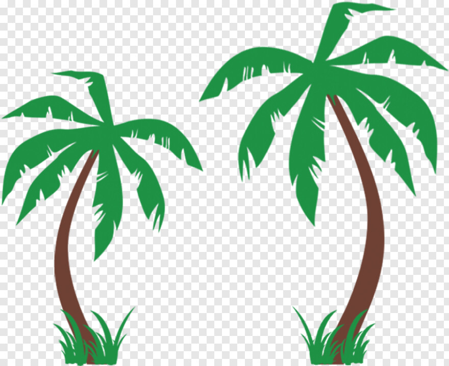 palm-tree # 461588