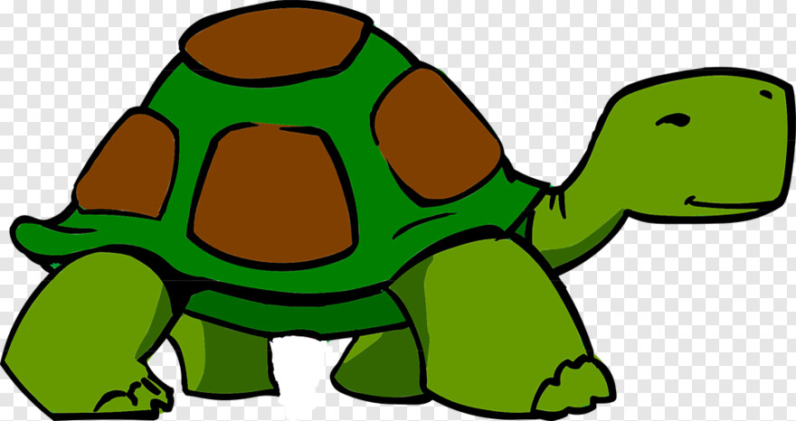 sea-turtle # 597545