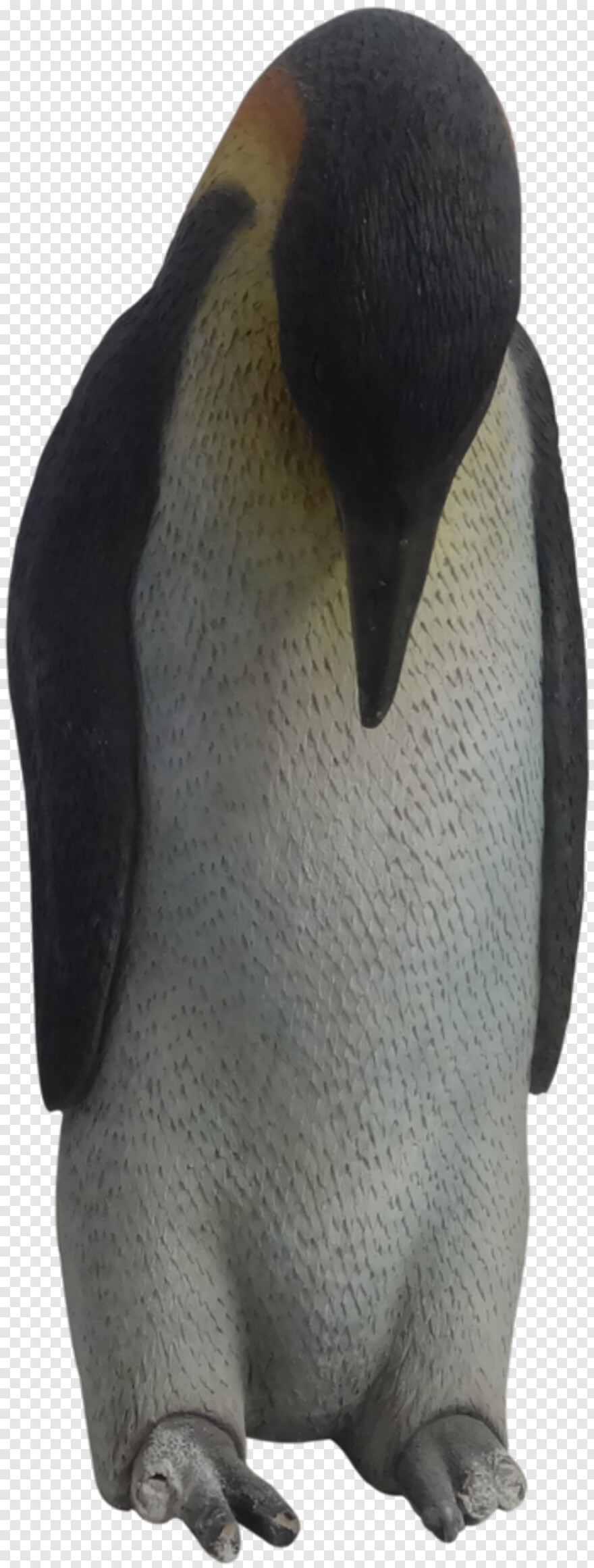 penguin # 863494