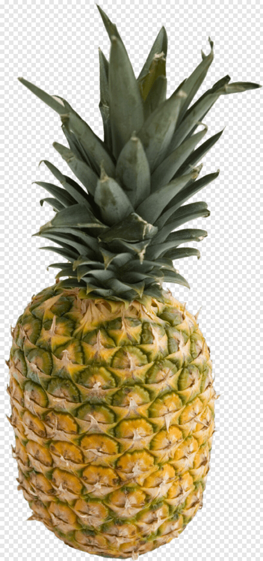 pineapple # 654194