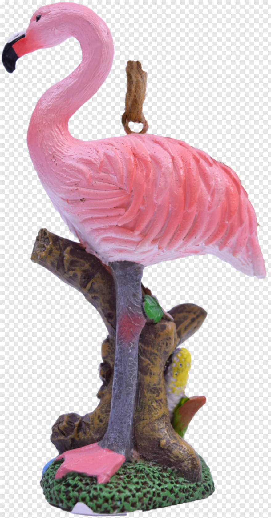 flamingo # 828734