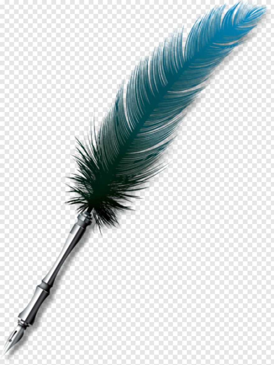 feather-silhouette # 842554