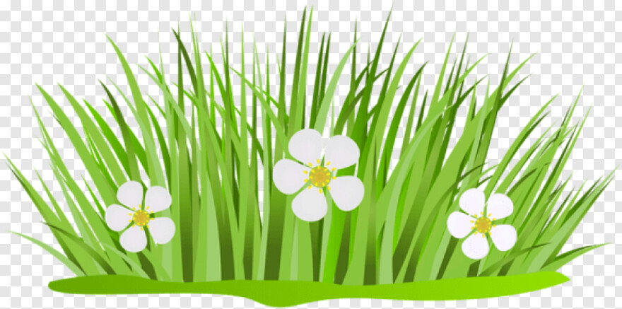 grass-with-flower-background # 824634
