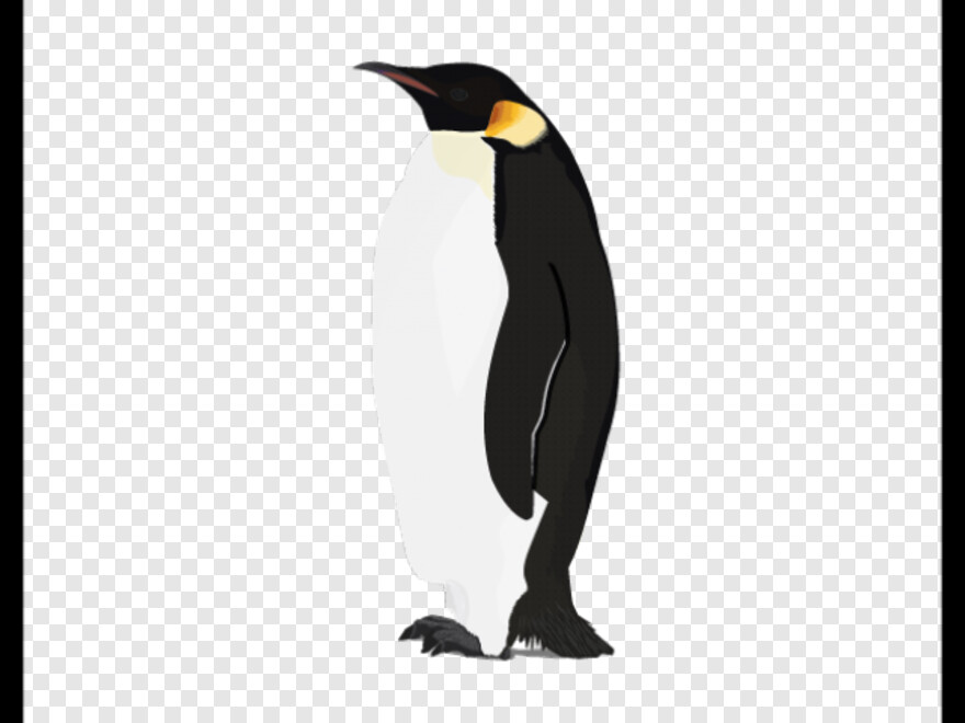 penguin # 863470