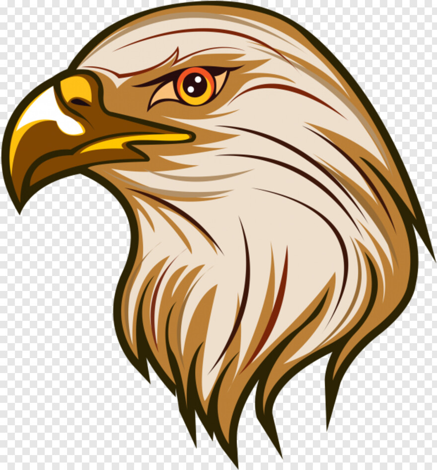 bald-eagle-head # 419457