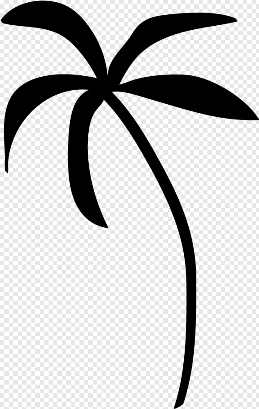 palm-tree # 472765