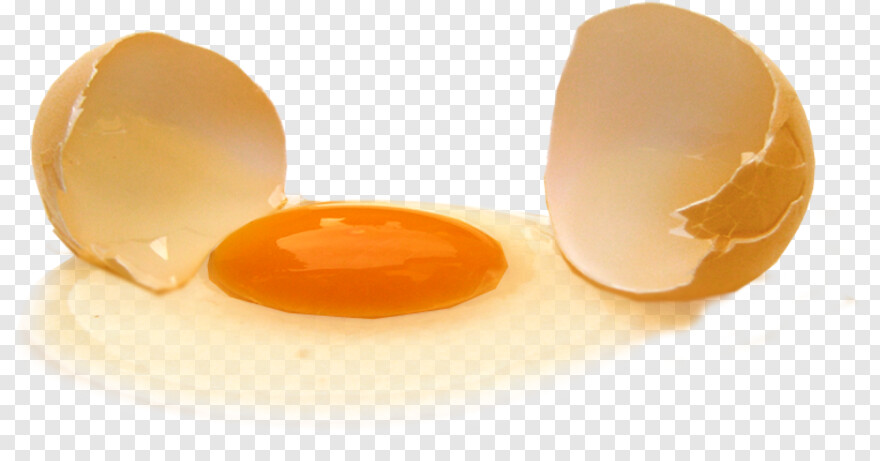 fried-egg # 1025397